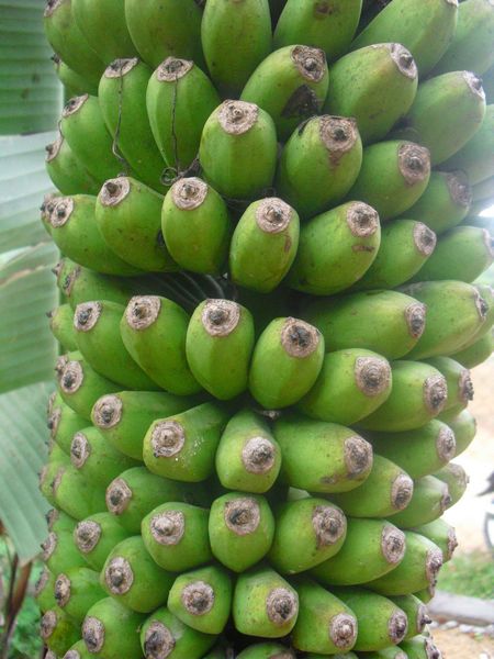 Khuất[-]Hậu